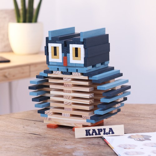 Kapla - OWL CASE Dutch : 120 planks-3