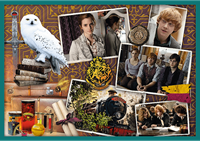 Trefl 10in1 - In the world of Harry Potter / Warner Harry Potter-2