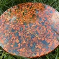 Extra afbeelding voor 33072622