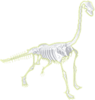 Science4you Fossil Excavations 4 in 1 Glow in the Dark-3