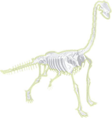 Science4you Fossil Excavations 4 in 1 Glow in the Dark-3