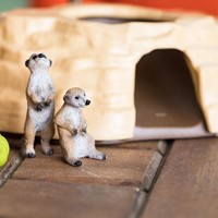 Schleich Wild Life Meerkat Hangout-3