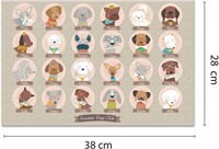 APLI - Spel Wie is Wie?-3