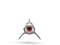 Schleich Dinosaurs Megalodon-2