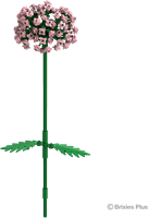 BRIXIES Plus Allium roze - 151 st