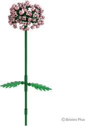 BRIXIES Plus Allium roze - 151 st