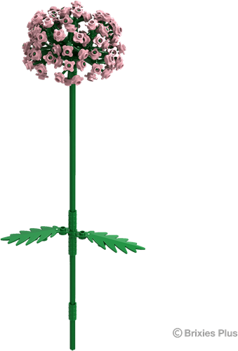 BRIXIES Plus Allium roze - 151 st