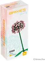 BRIXIES Plus Allium roze - 151 st-2