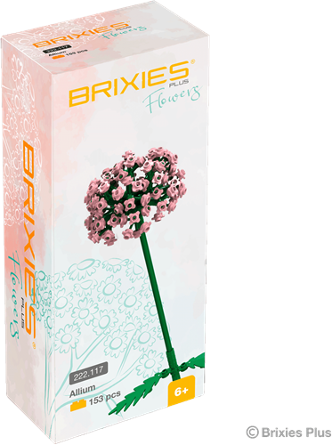 BRIXIES Plus Allium roze - 151 st-2