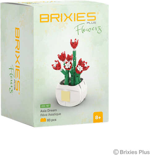 BRIXIES Plus Mini Bloem "Asia Dream" - 83 st-2