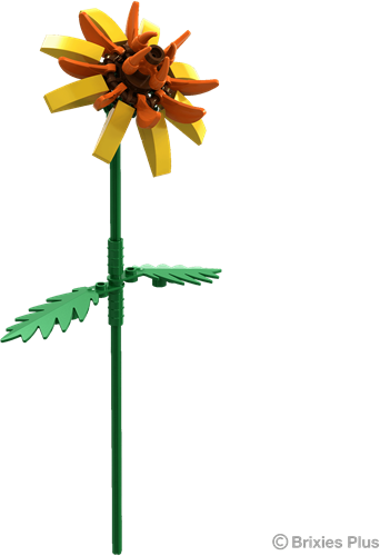 BRIXIES Plus Astrantia geel - 46 st