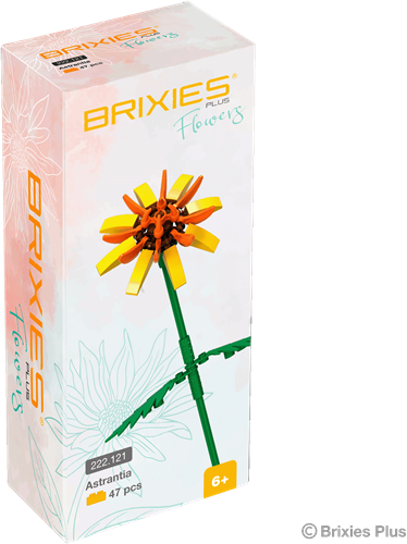 BRIXIES Plus Astrantia geel - 46 st-2