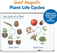 Learning Resources - Giant Magnetic Plant Life Cycle-3
