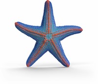 Extra afbeelding voor 39042742