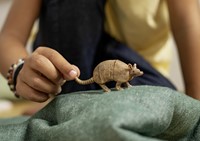 Schleich Wild Life Gordeldier-2