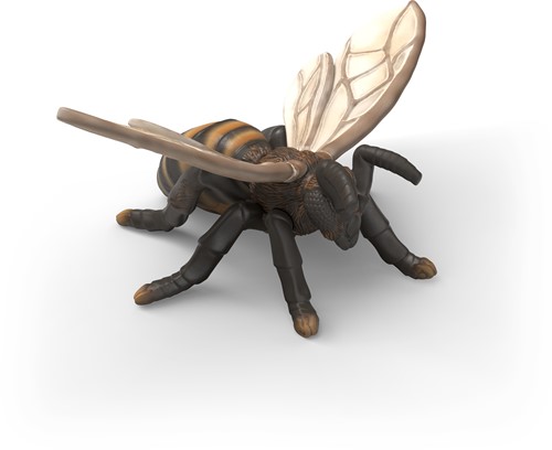 Schleich Wild Life Insects discovery set-2