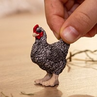 Schleich Farm World Plymouth Rock Chicken-2