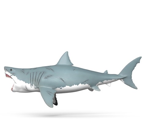 Extra afbeelding voor 39015055