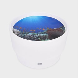 Tickit Sensorische Ontdekkings Tafel met Sfeerverlichting & Onderwater Ontdekkings Speelmat