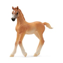 Schleich Horse Club Arabisch veulen