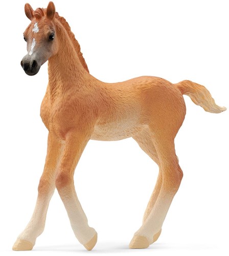 Schleich Horse Club Arabisch veulen