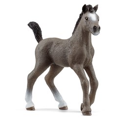 Schleich Horse Club Cheval de Selle Fr. foal