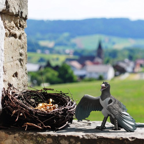 Extra afbeelding voor 39014956