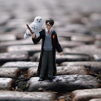 Schleich Wizarding World™  Sterrenhemel Draak-3
