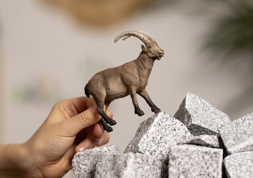 Schleich Wild Life Steenbok-2