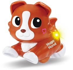 Vtech - RDD - Hugo Hond