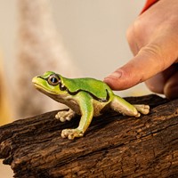 Schleich Wild Life European Tree Frog-2