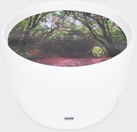 Tickit Sensorische Ontdekkings Tafel met Sfeerverlichting & Bos Ontdekkings Speelmat