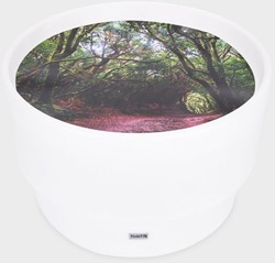 Tickit Sensorische Ontdekkings Tafel met Sfeerverlichting & Bos Ontdekkings Speelmat