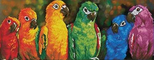 Diamond Dotz - Rainbow Parrots