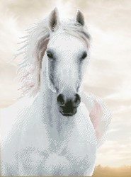 Diamond Dotz - Imperial Stallion