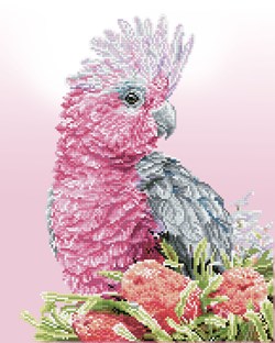 Diamond Dotz - Pink Galah & Banksias