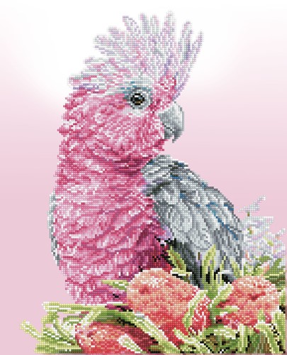 Diamond Dotz - Pink Galah & Banksias