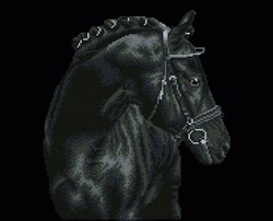 Diamond Dotz - Black Sheen