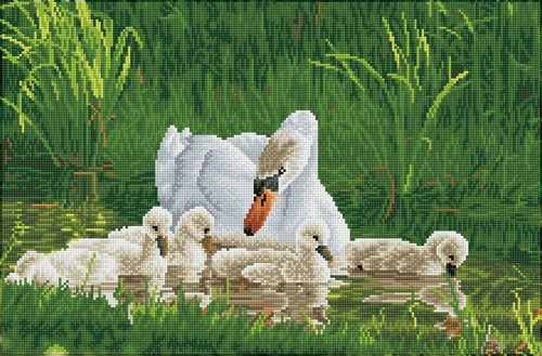 Diamond Dotz - Mother Swan & Signets