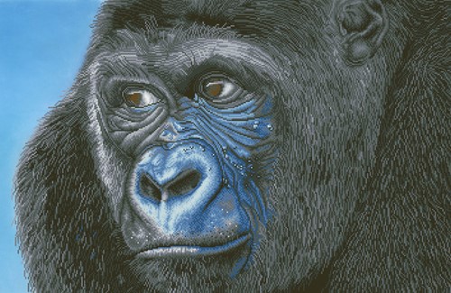 Diamond Dotz - Kibali Western Lowland Gorilla