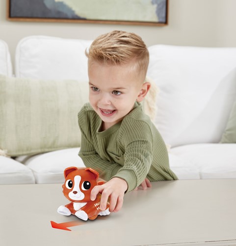 Vtech - RDD - Hugo Hond-3