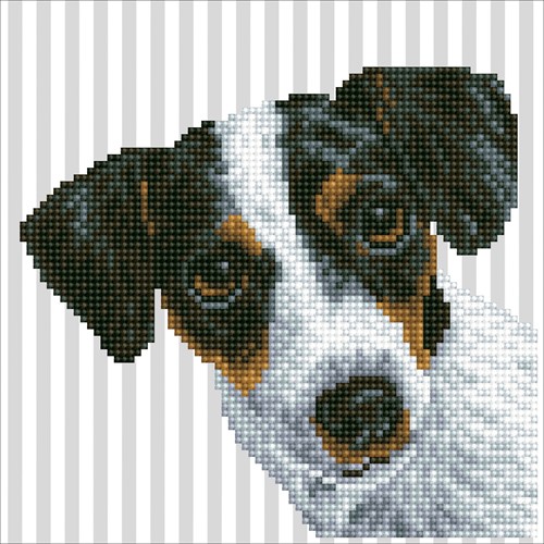 Diamond Dotz - Me??
