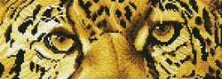 Diamond Dotz - Leopard Spy