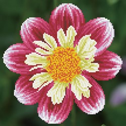 Diamond Dotz - Daisy-A-Day