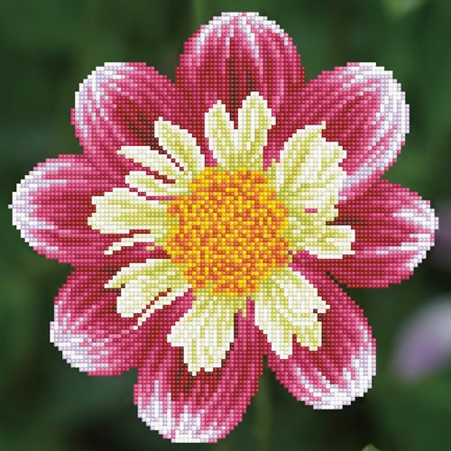 Diamond Dotz - Daisy-A-Day