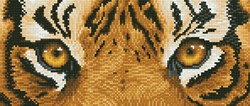 Diamond Dotz - Tiger Spy