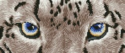 Diamond Dotz - Snow Leopard Spy
