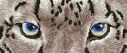 Diamond Dotz - Snow Leopard Spy