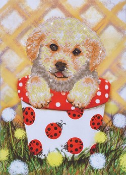 Diamond Dotz - Pup In Pot