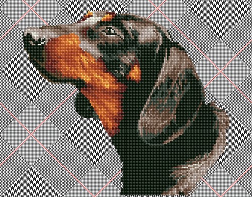 Diamond Dotz - Noble Dachsie